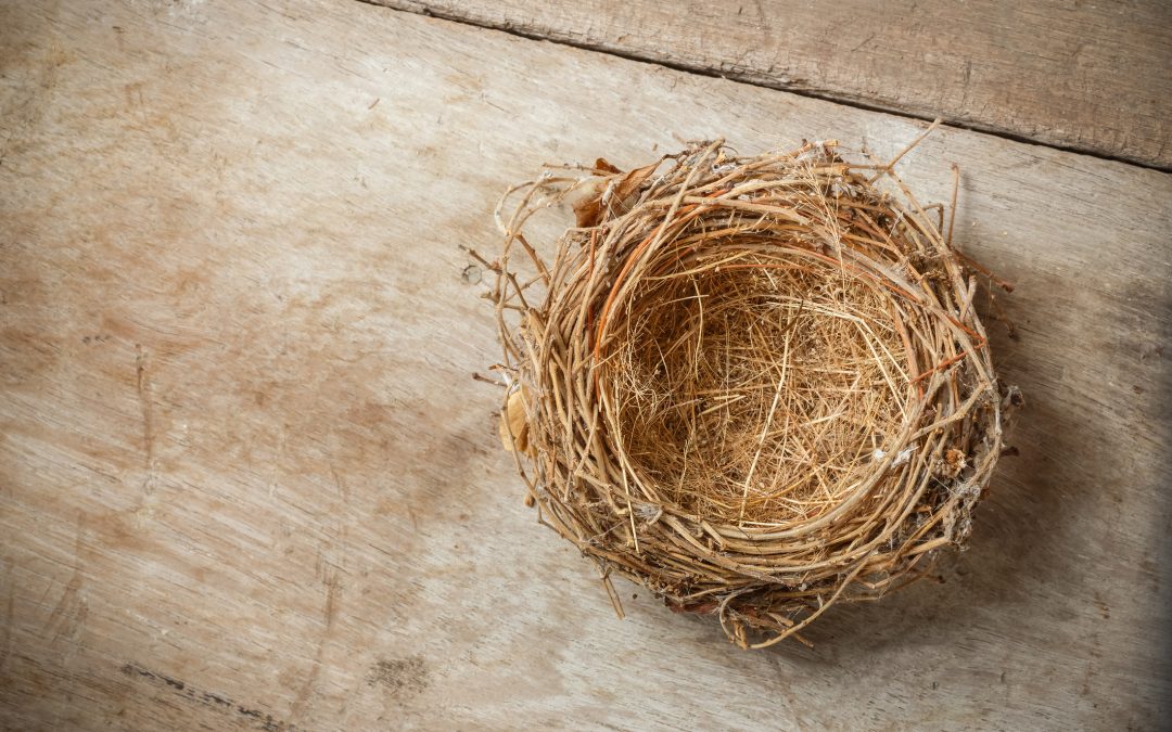 Emptying your Nest